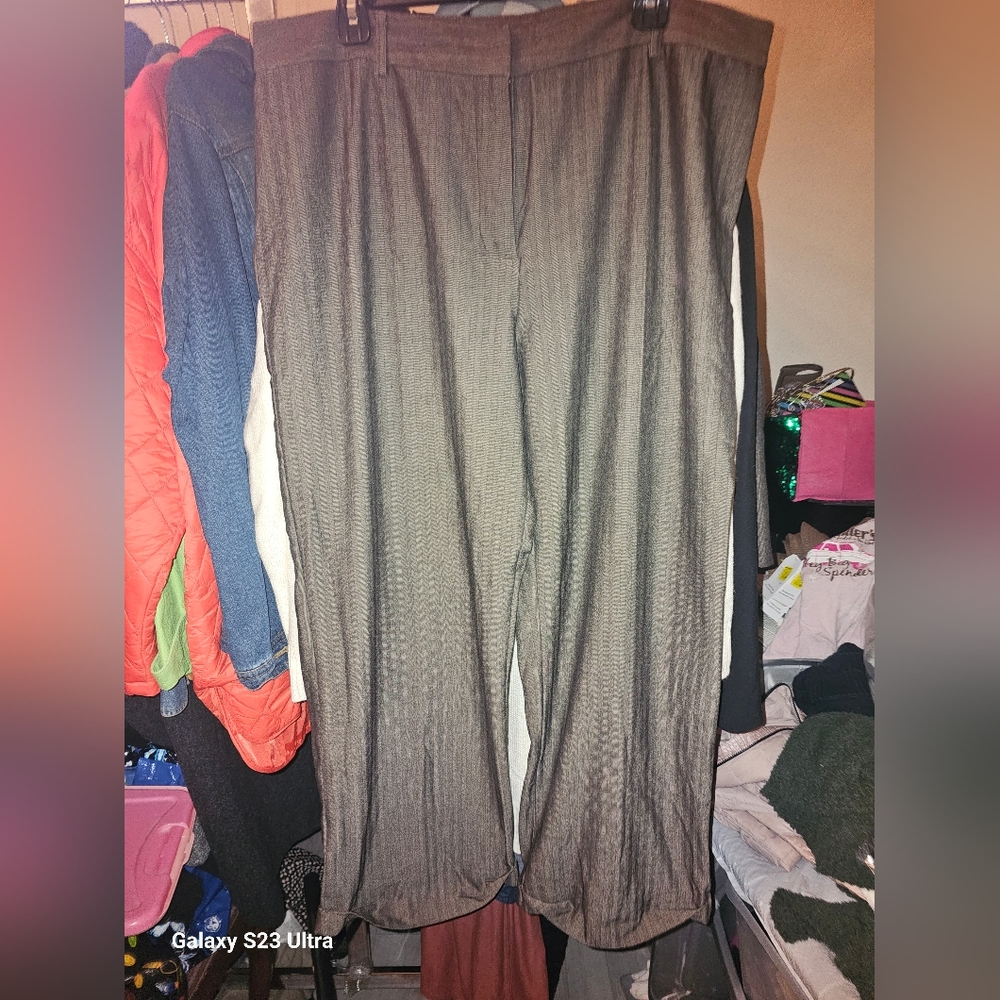 Dress pants